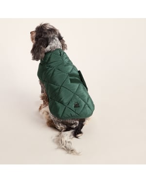 Fido Padded Dog Coat M - Racing Green