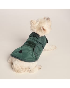 Fido Padded Dog Coat S - Racing Green