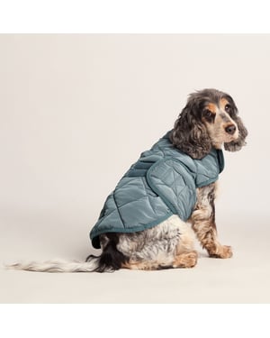 Fido Padded Dog Coat M - Graphite