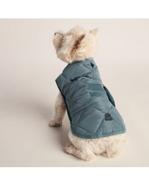 Fido Padded Dog Coat S - Graphite
