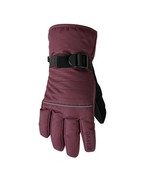 Dare 2B Kinder/Kinder Glacier Winterhandschoenen (Afb.)