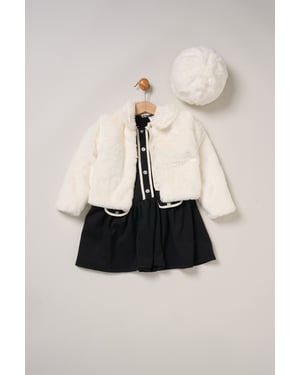 Fur Jacket and Dress Outfit Set