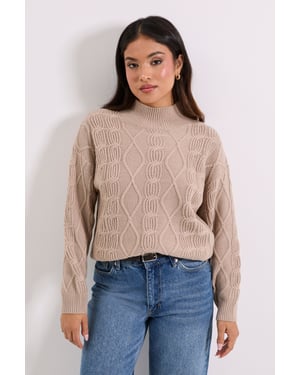 Petite Beige Twisted Cable Funnel Longline Jumper