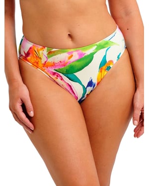Iguazu Falls Bikini Brief