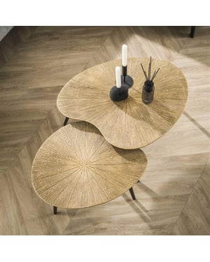 Hoyz salontafel set-2 niervormig ray brons/goud metaal