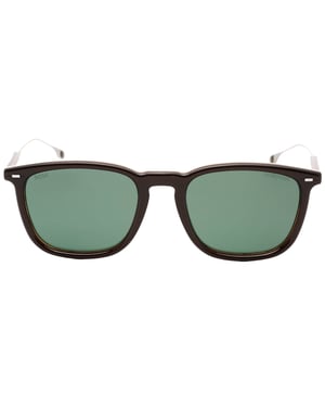 Hugo Boss Brown Striped Frame Brown Lens Sunglasses