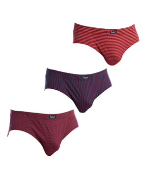 Pack-3 Men's Briefs Essential Prints A0080