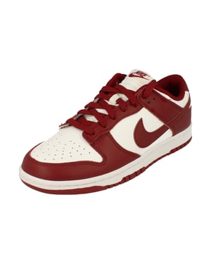 Nike Dunk Low Retro Mens Trainers