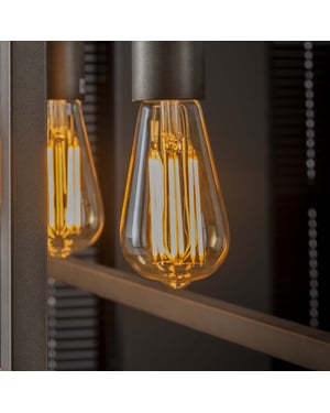 Hoyz Lichtbron led filament druppel