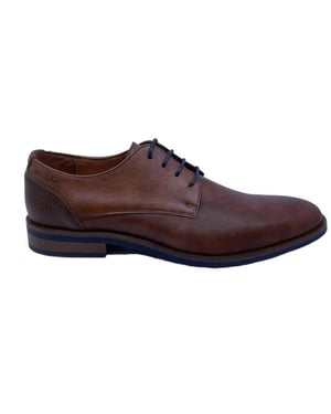 Van Lier 2518660