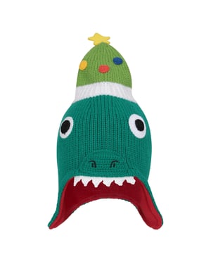 Mountain Warehouse Kerstmuts met fleecevoering voor kinderen/Kinderen (Groen)