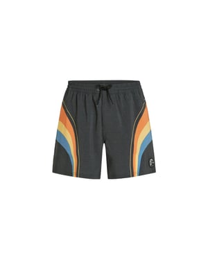 O'Neill Heren zwemshort o'riginals longboard 15" donkergrijs/multicolor