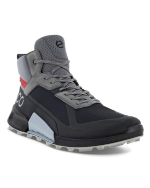 ECCO 823804 biom