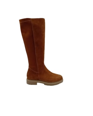 DL Sport 6379