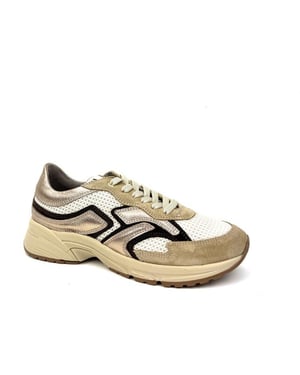 DL Sport 6738