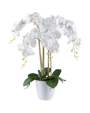 Kopu ® kunstbloem orchidee 62 cm met te pot phalenopsis