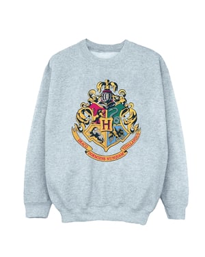 Harry Potter Jongens Sweatshirt met Gouden Inkt en Zweinsteinrest (Sportgrijs)