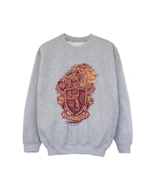 Harry Potter Jongens Gryffindor Schets Crest Sweatshirt (Sportgrijs)