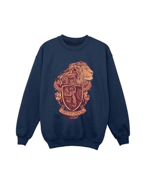 Harry Potter Jongens Gryffindor Schets Crest Sweatshirt (Marineblauw)