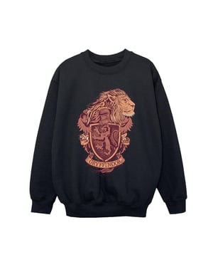 Harry Potter Jongens Gryffindor Schets Crest Sweatshirt (Zwart)
