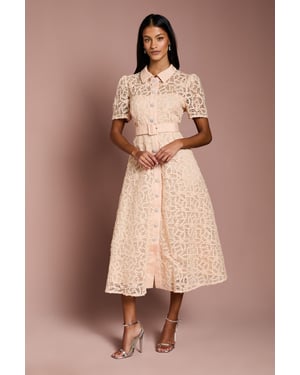 Petite Floral Lace Collared Midi Dress