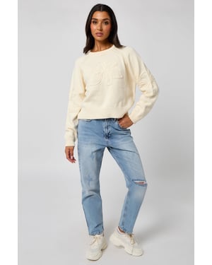 Crochet embroidery raglan jumper