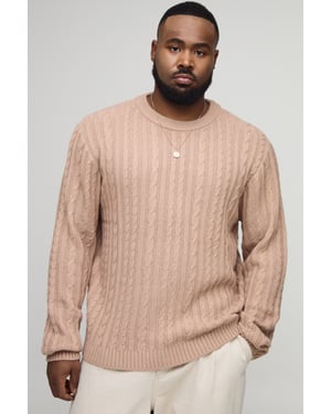 Plus Basic Regular Fit Cable Knit Jumper