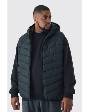 Plus Quilted Zip Through Hooded Regular Fit Gilet In Black