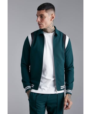 Tailored Collared Varsity Regular Fit Bomber Jacket