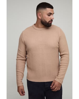 Plus Basic Regular Fit Ribbed Knitted Jumper