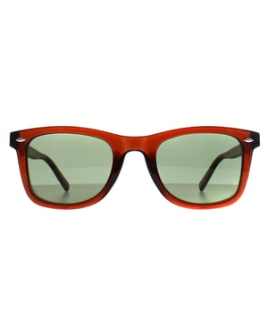 Calvin Klein Square Heren Transparant Bruin Groen CK22555S