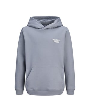 Jack & Jones Jornorrebro typo back sweat hood sn jnr raf