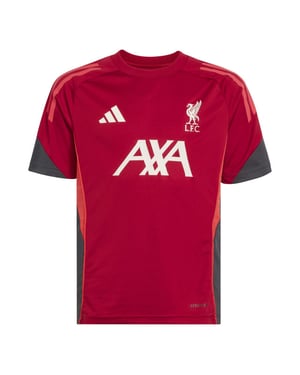 Adidas lfc tr jsy y replica voetbal trainingshirt korte mouw jongens -