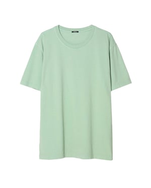 Denham T-shirt korte mouw 01-26-01-52-035