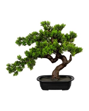 Kopu ® bonsai mirte ca. 40x40 cm- in een zwarte plastic pot