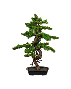 Kopu ® bonsai mirte ca. 85x55 cm- in een zwarte plastic pot