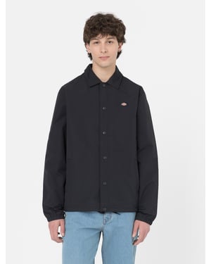 Dickies Jassen OAKPORT COACH