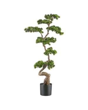 Kopu ® bonsai dennenboom ca. 125x50 cm in een zwarte plastic pot