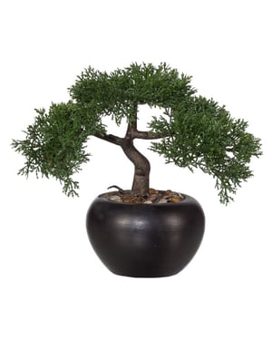 Kopu ® kunstplant bonsai ceder 26 cm met zwarte pot bonsai boompje