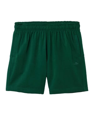 Ellesse Heren Zanica Shorts (Donkergroen)