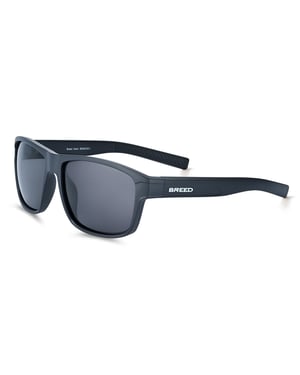 Breed Astor gepolariseerde zonnebril - Zwart/Zwart