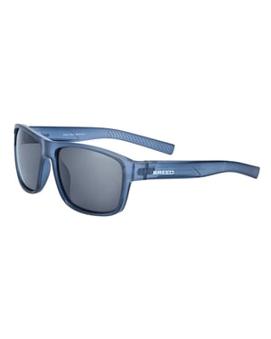 Breed Astor gepolariseerde zonnebril - Blauw/Zwart