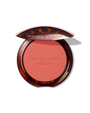 Terracotta Blush Blush Effect Good Face #05