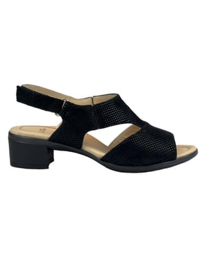 Ara 12-35732
