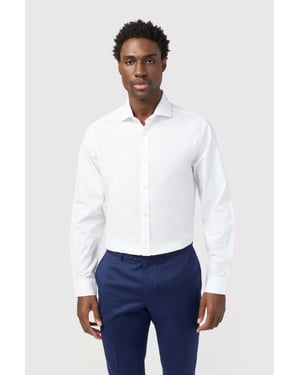Tailored Cutaway Collar