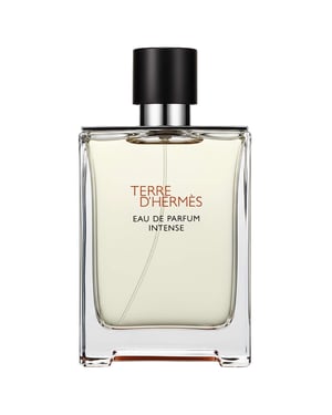 Hermès Terre d’Hermès Eau de Parfum Intense Spray 100 ml