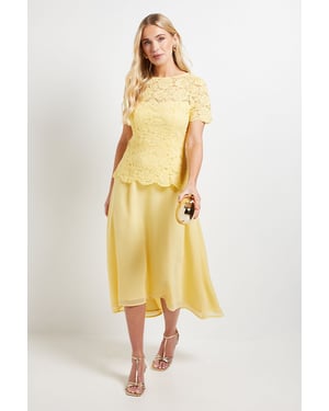 Petite Lace Overlay Midi Dress