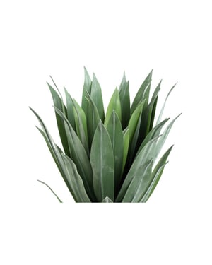 PTMD kunstplant succulent - 65x65x55cm