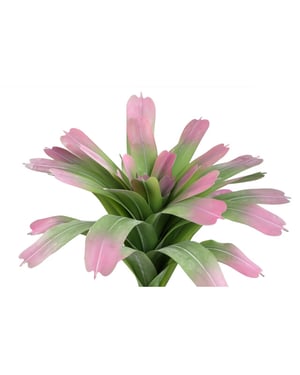 PTMD kunstplant succulent - 70x70x60cm