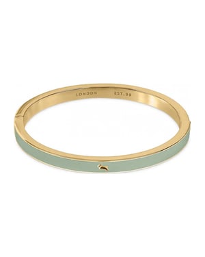 Radley RYJ3544S Ladies Sion Close Bracelet